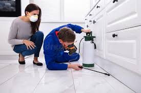 Best Real Estate Pest Inspections  in Shoh, IL